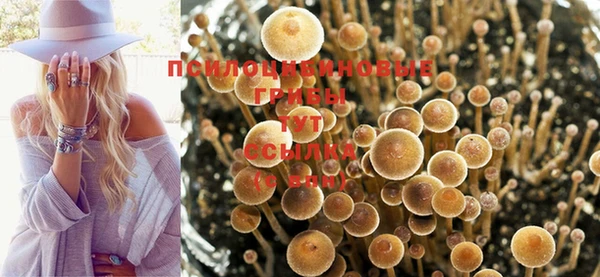 прущая мука Белокуриха