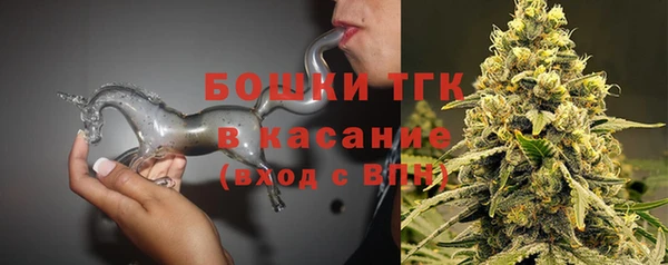 твердый Богородицк