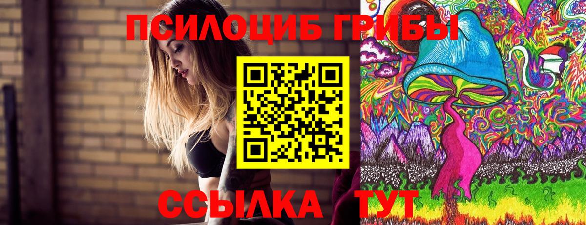 Псилоцибиновые грибы Magic Shrooms Горно-Алтайск