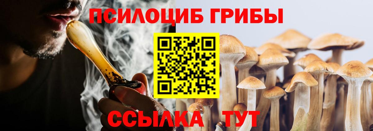 Горно-Алтайск  Галлюциногенные грибы ЛСД  Вход с VPN 